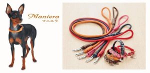 画像1: Manieraマニエラ　カラー SS/S (超小型・小型犬用）