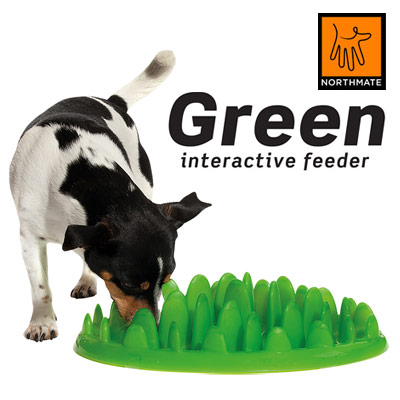 画像1: グリーンフィーダー・早食い防止　犬用食器