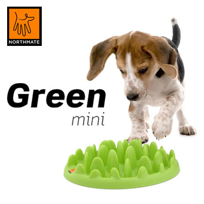 画像2: グリーンフィーダー・早食い防止　犬用食器
